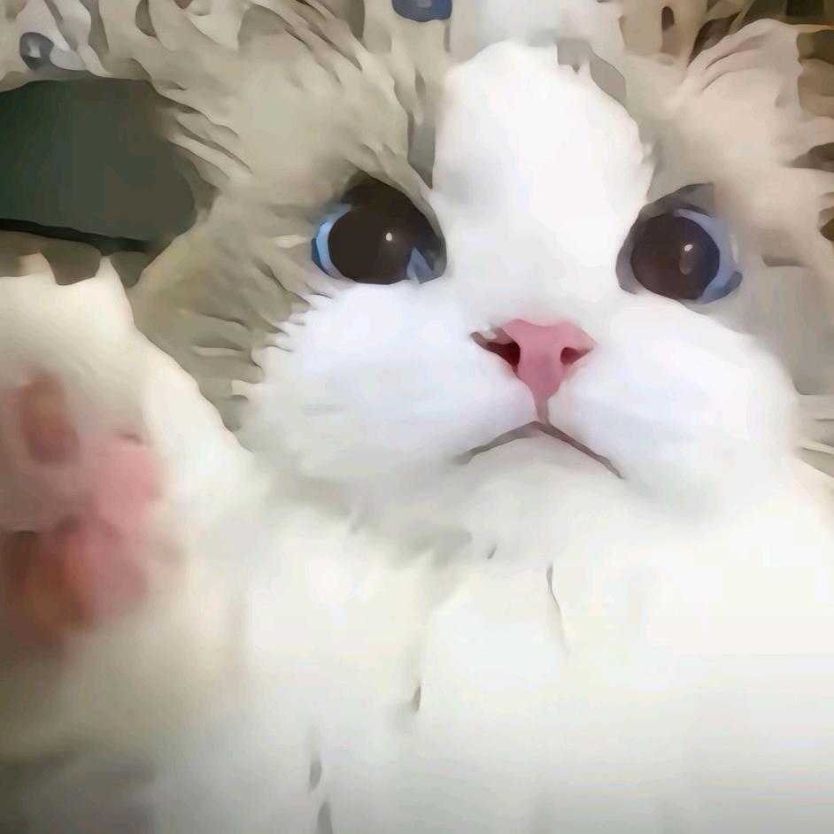 ঞ゛鹑火.ぃ