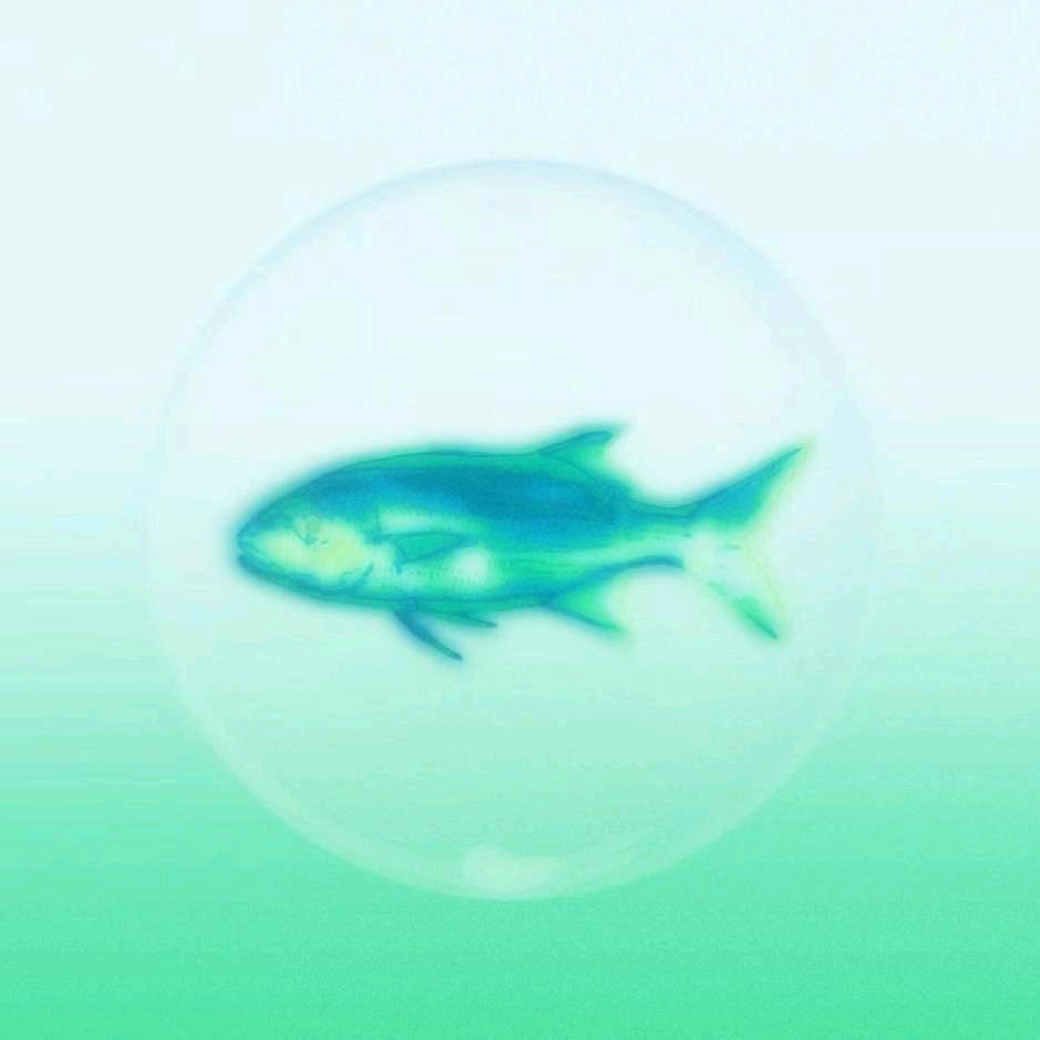 itstheonlyfish