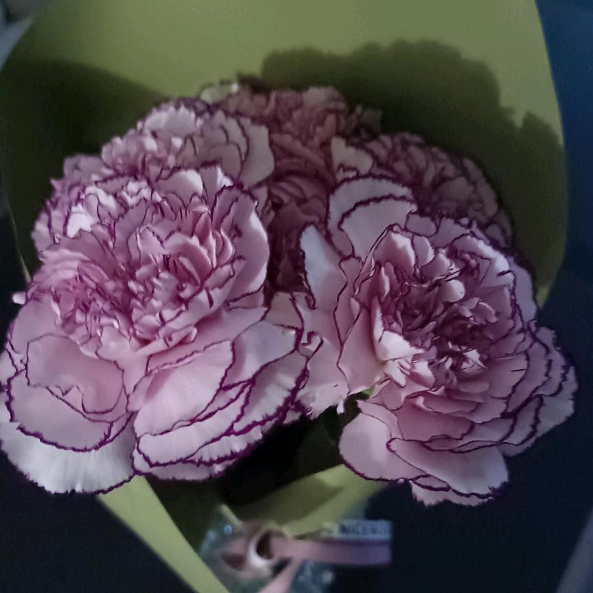 雨后彩虹