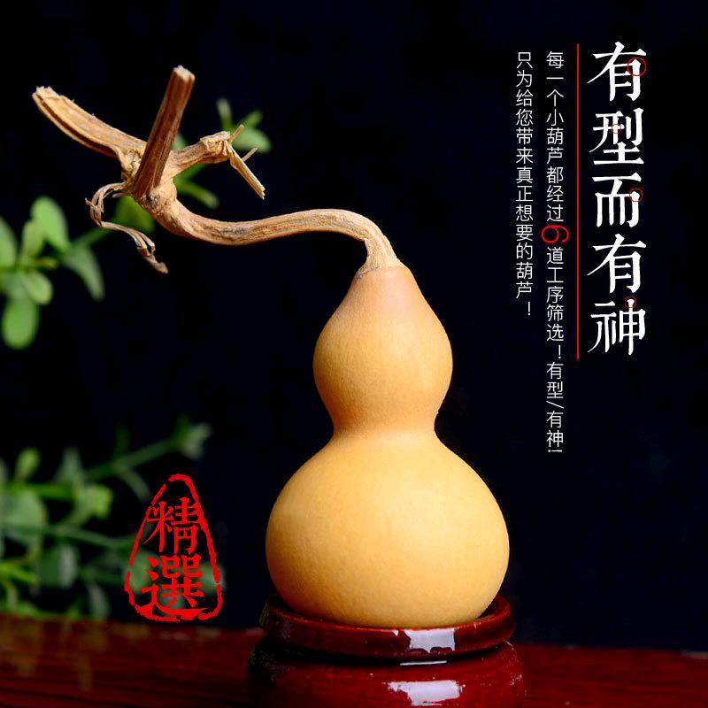 森淋雅集臻选