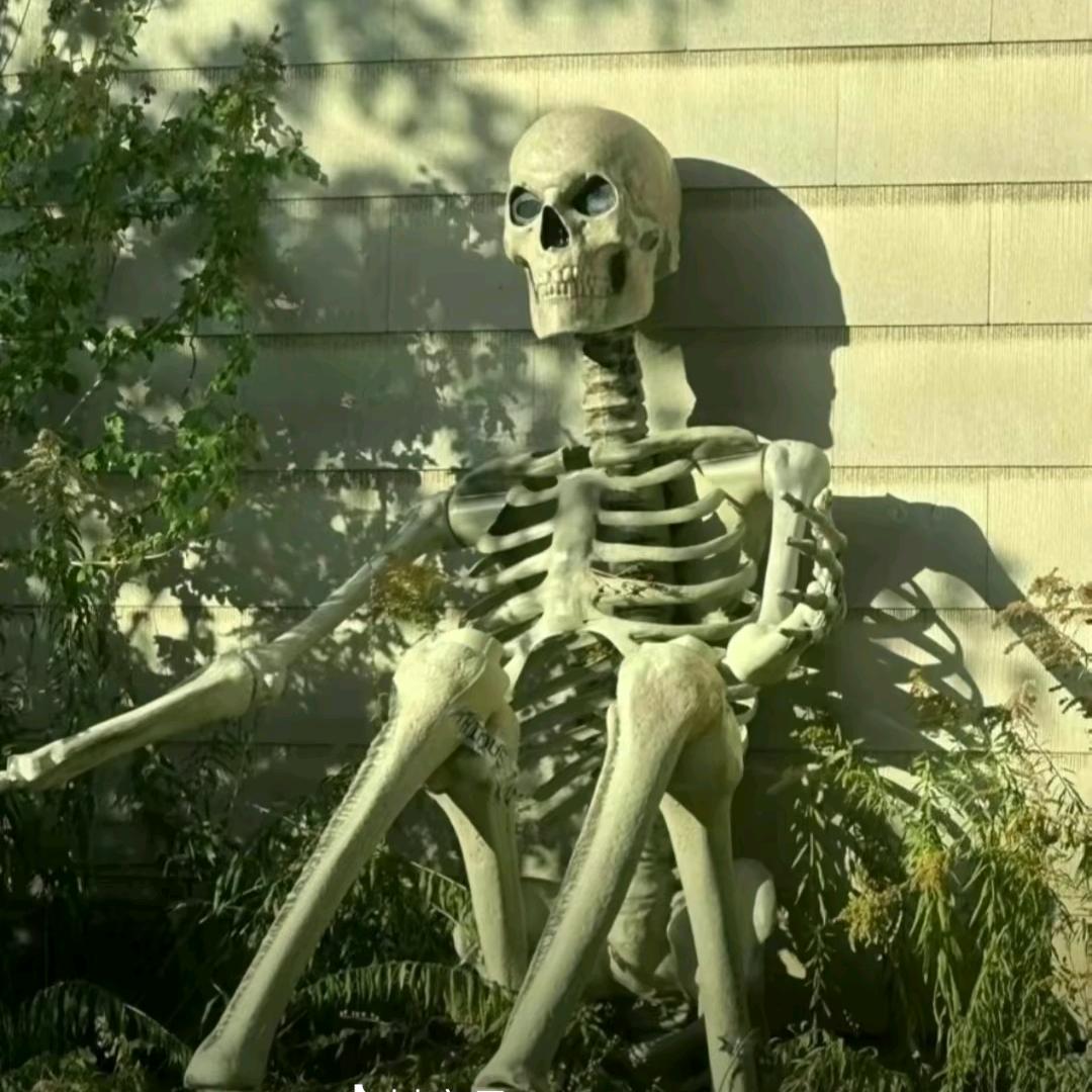 陪我看星星好吗？