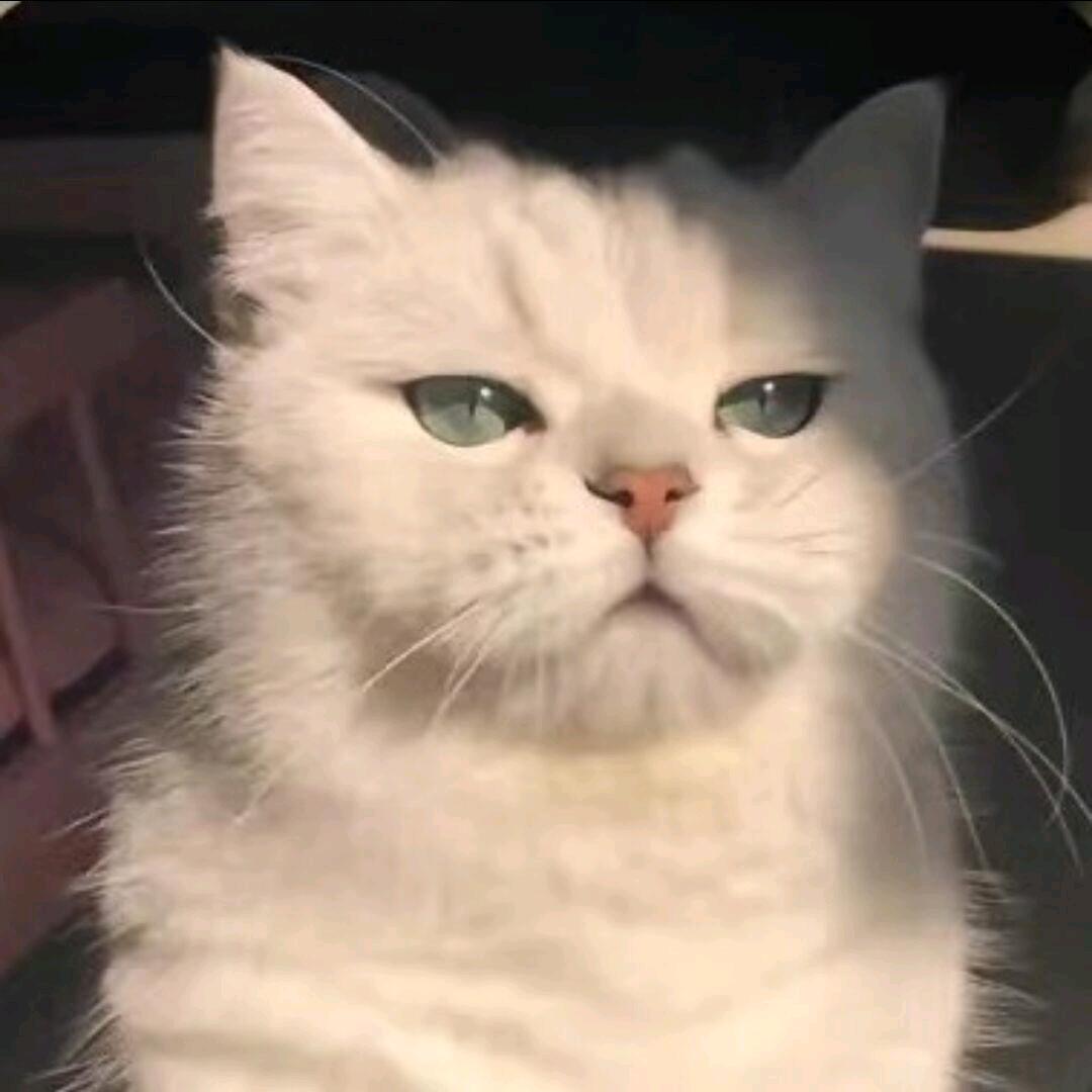 徐怀亦