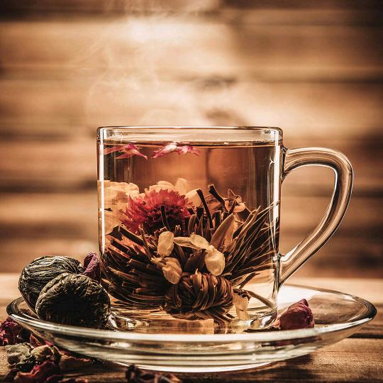 乾杯 []~（￣▽￣）~*