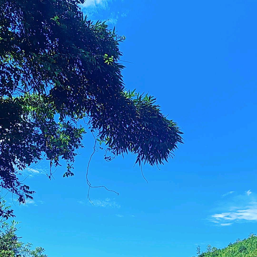 开心快乐每一天