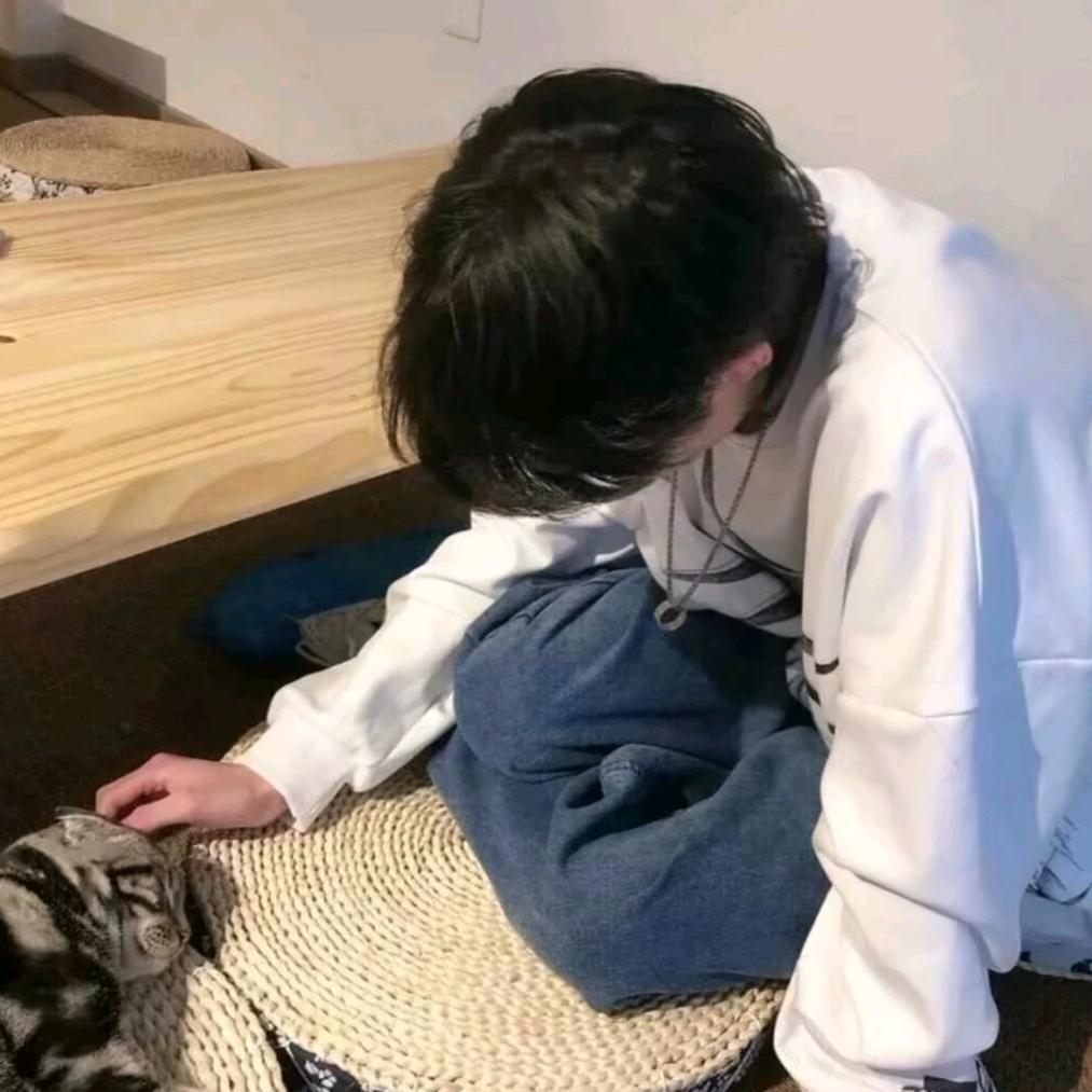 蚊文子子