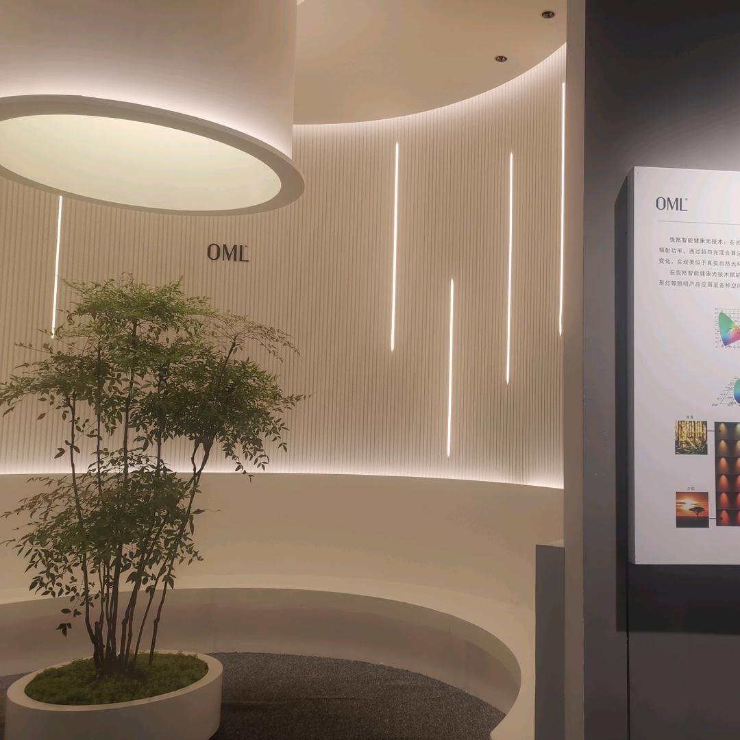 全屋智能灯光的小学生