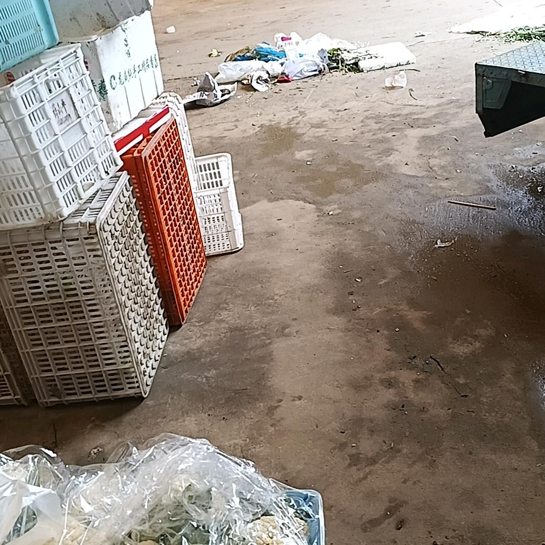 运顶邓运顶河南人
