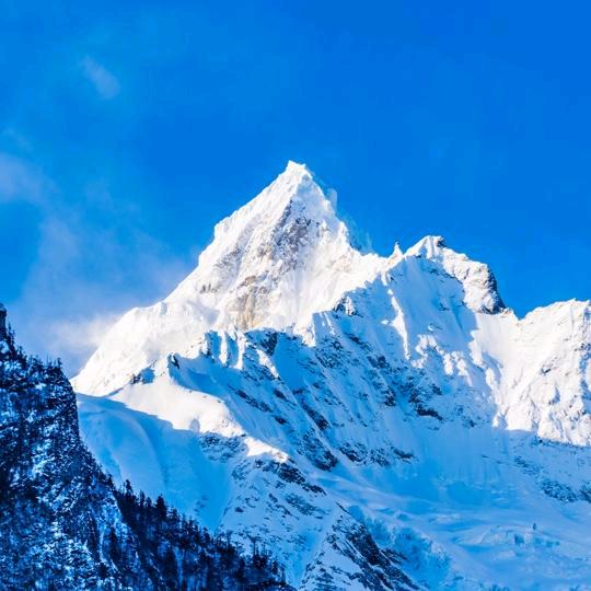 德文PE乳白热收缩膜