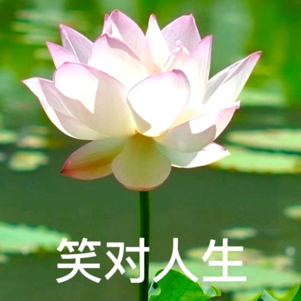 Positive