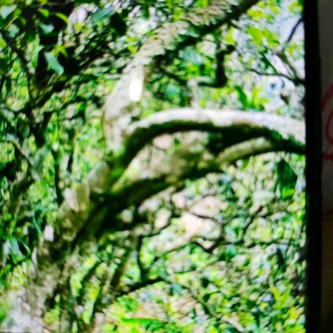 29号一生平安8888