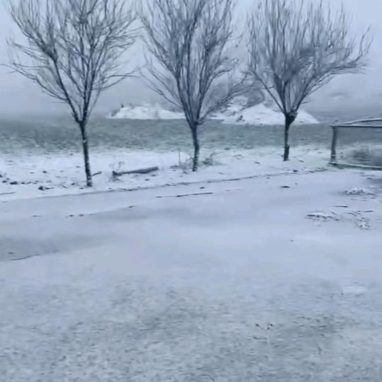 心雨