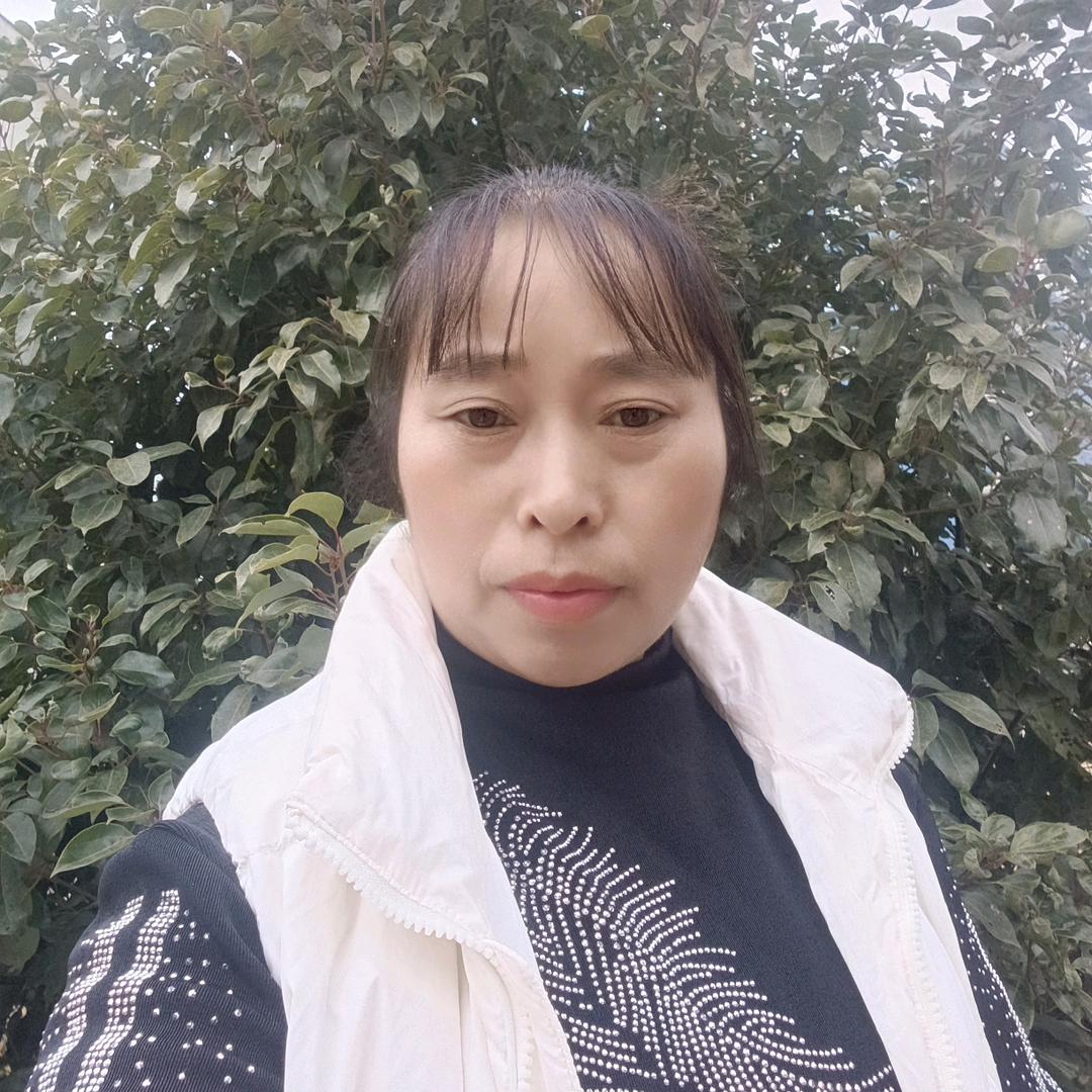陶巧