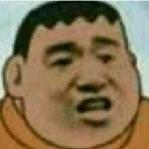 飞翔的猫