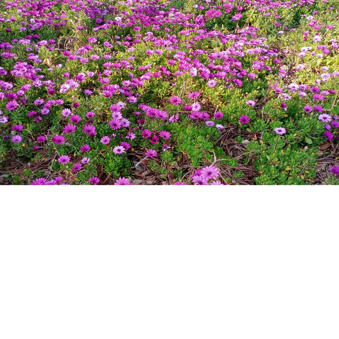 鹤辞.