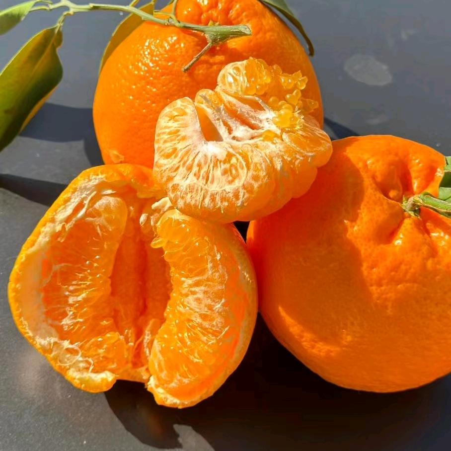 四川资阳水果代办