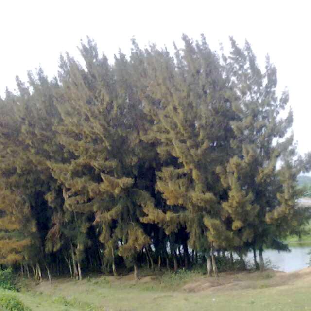 永远