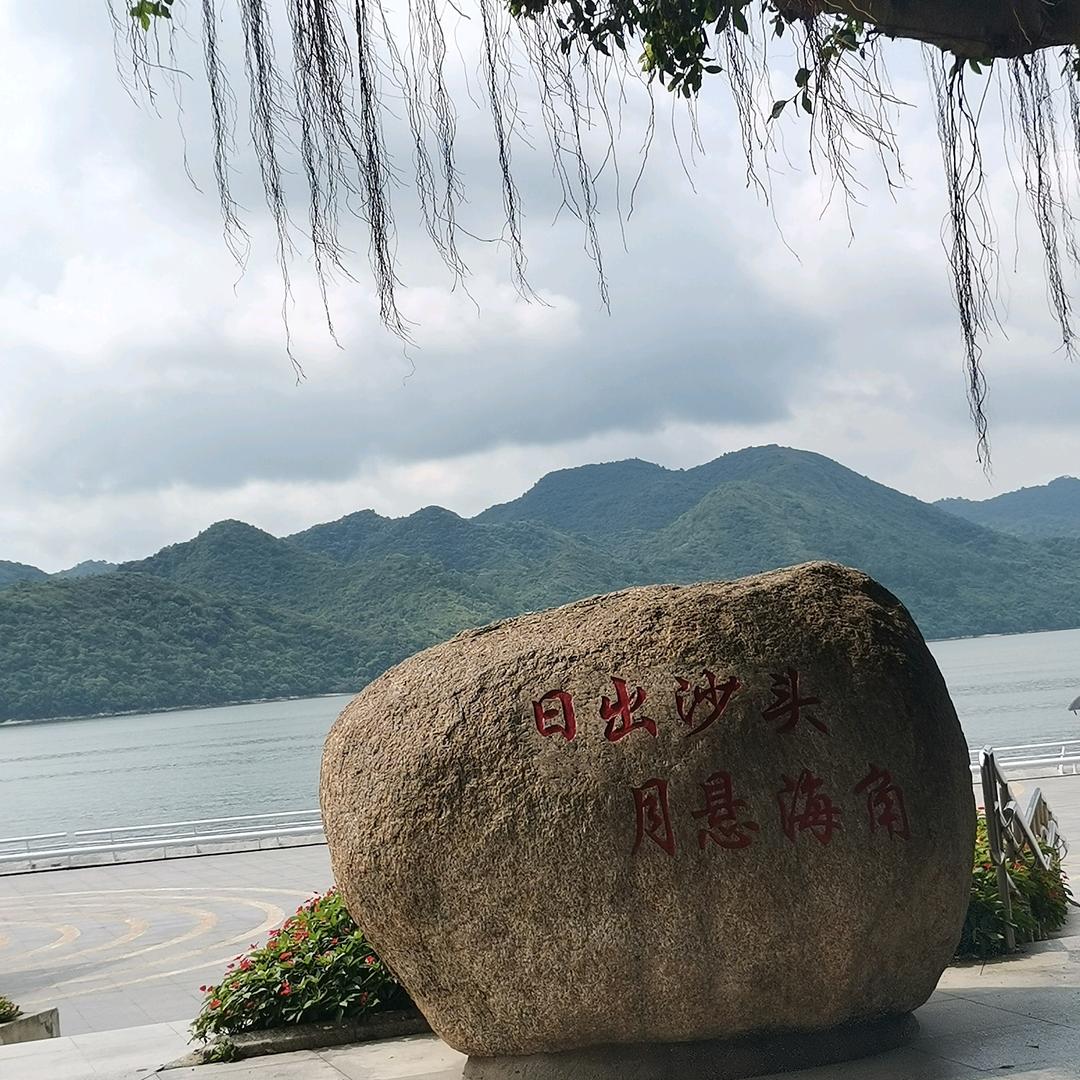 王哥