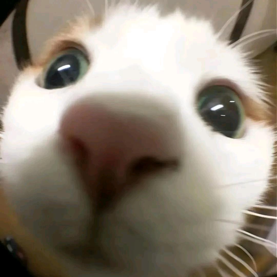 返