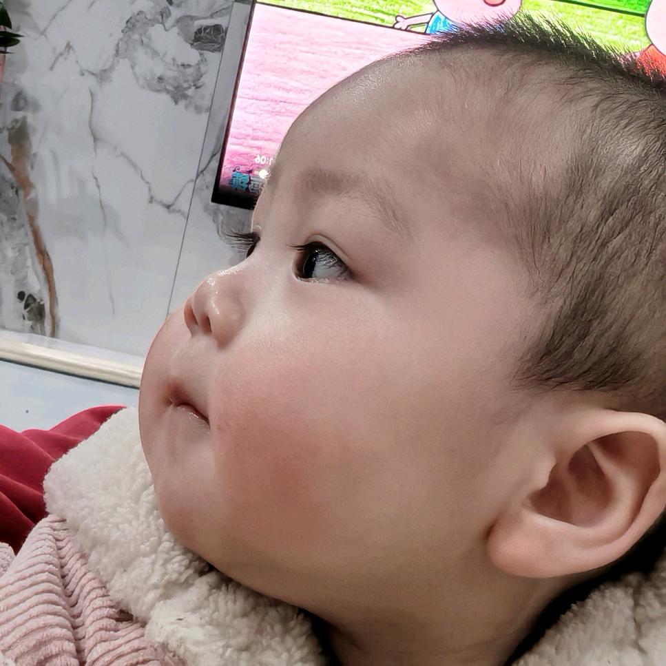 梧桐秋语