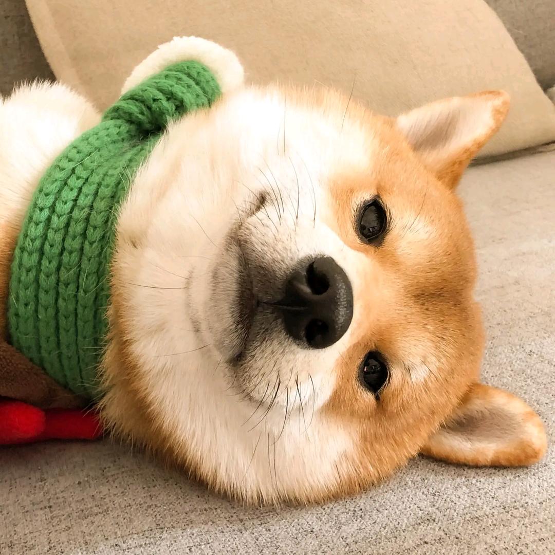 行侠仗义五千年-cC