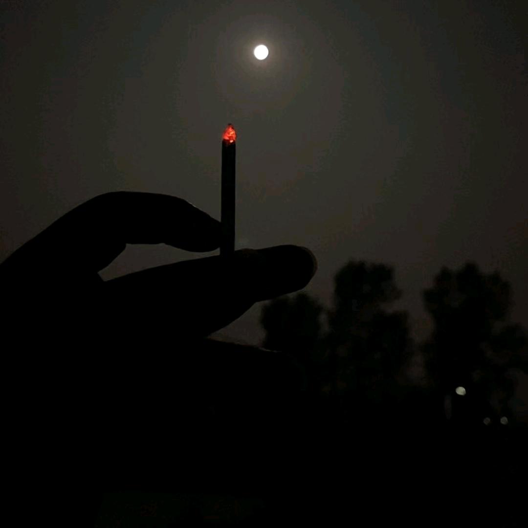 花前月下🪳