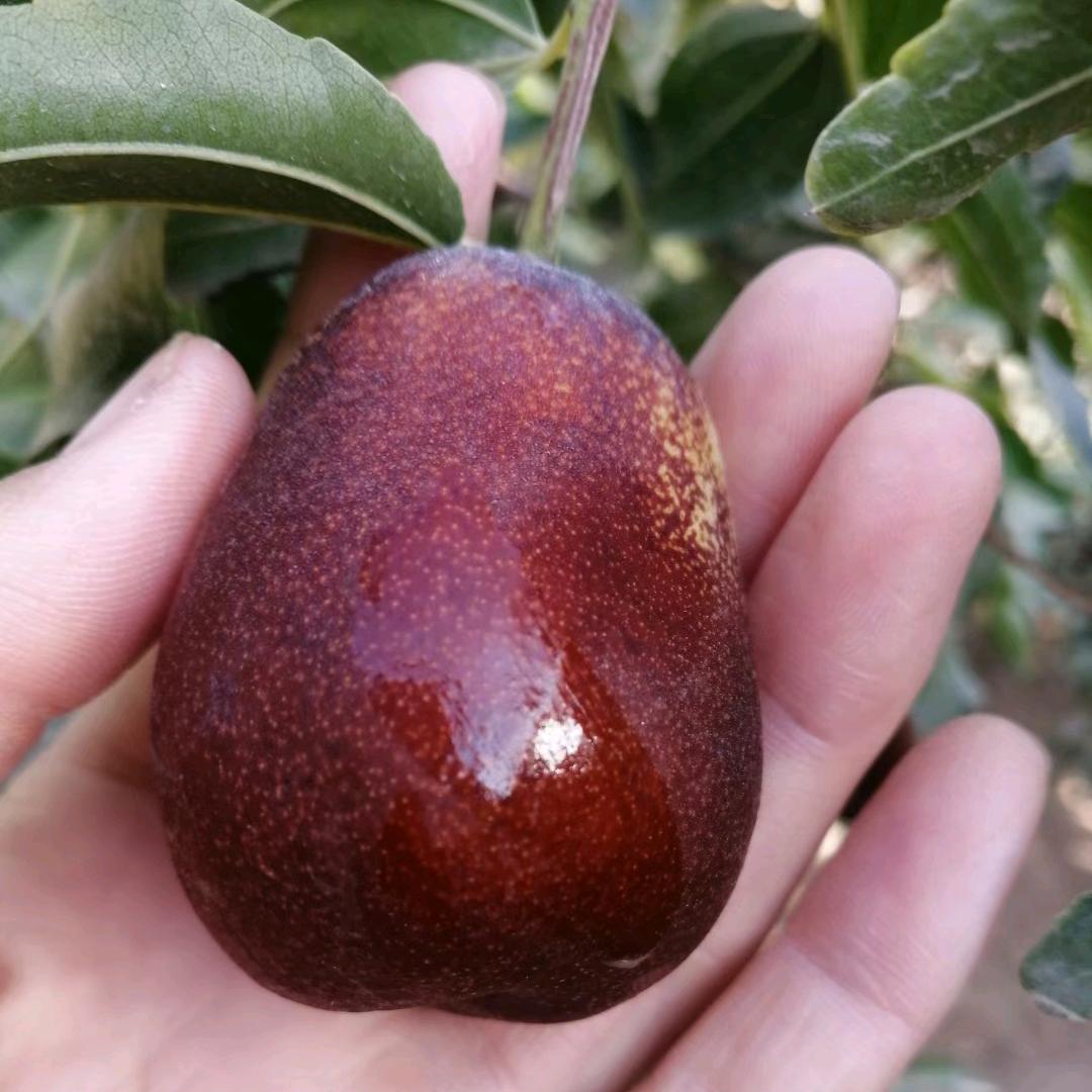 果韵轩干果店（助力三农）