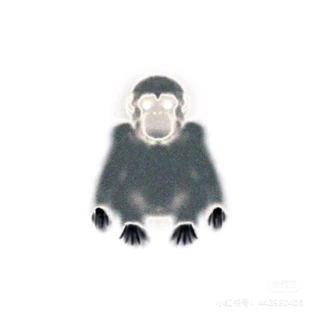 南昌商K小金