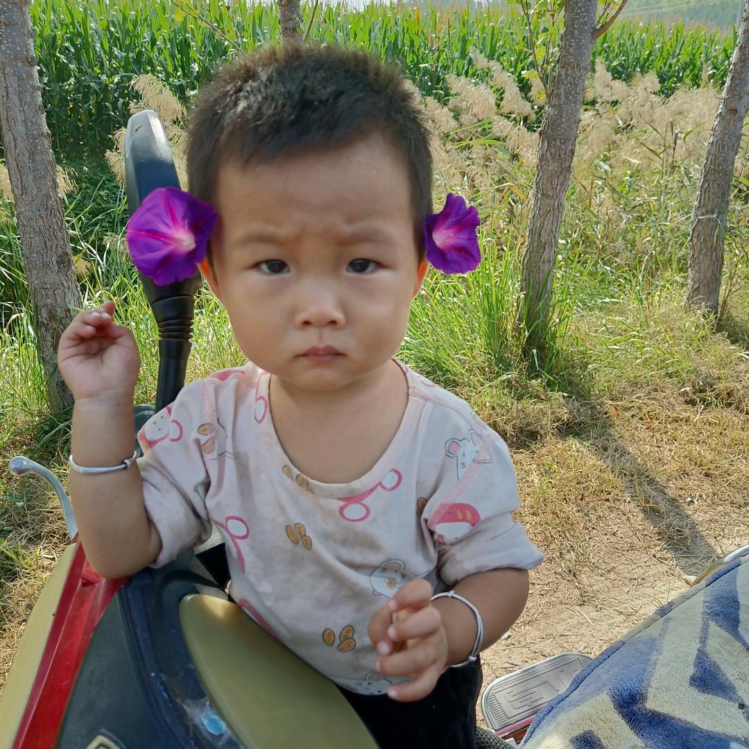面朝大海春暖花开