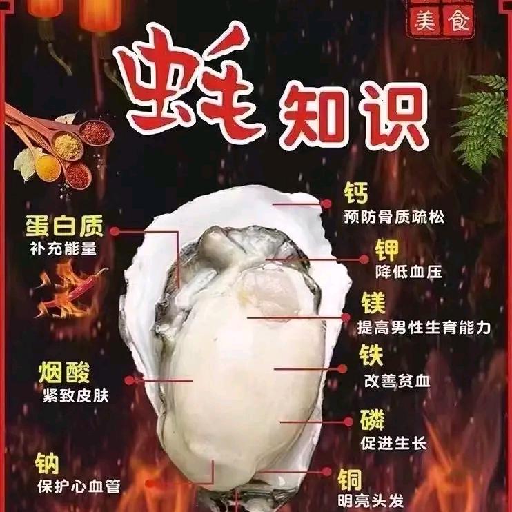 娜姐·蚝味轩