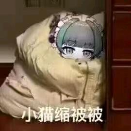 你的王总喵喵喵喵喵喵喵喵