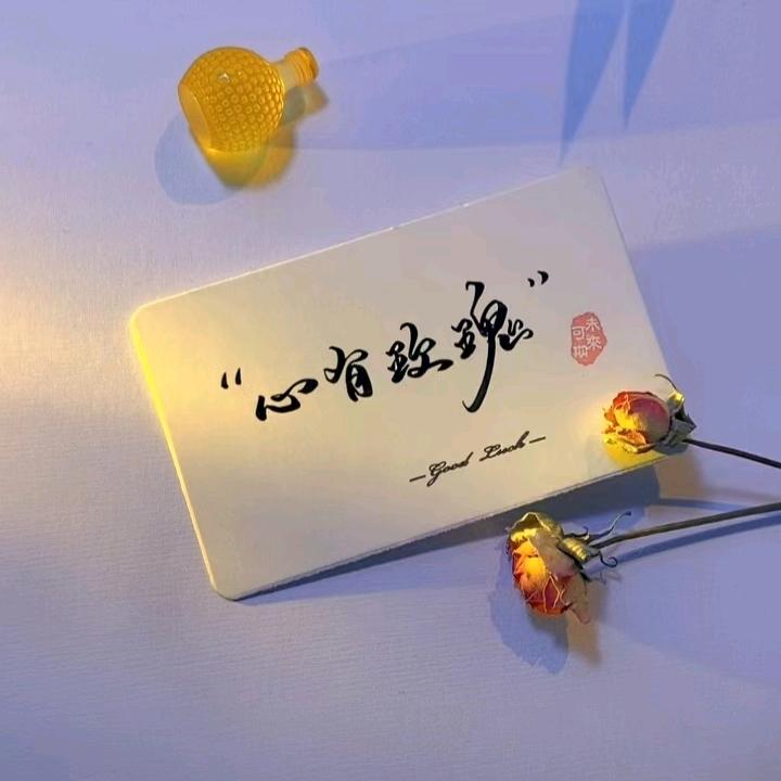 ✨🌹晓晓代🧚🏻‍♀️