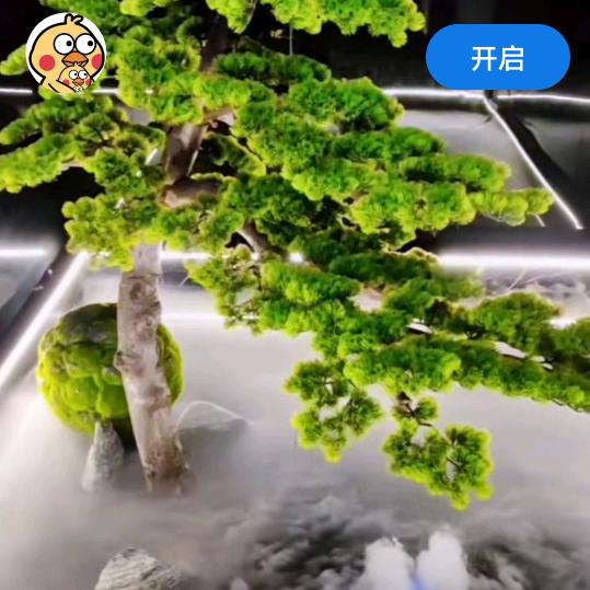 安妮健身操舞团