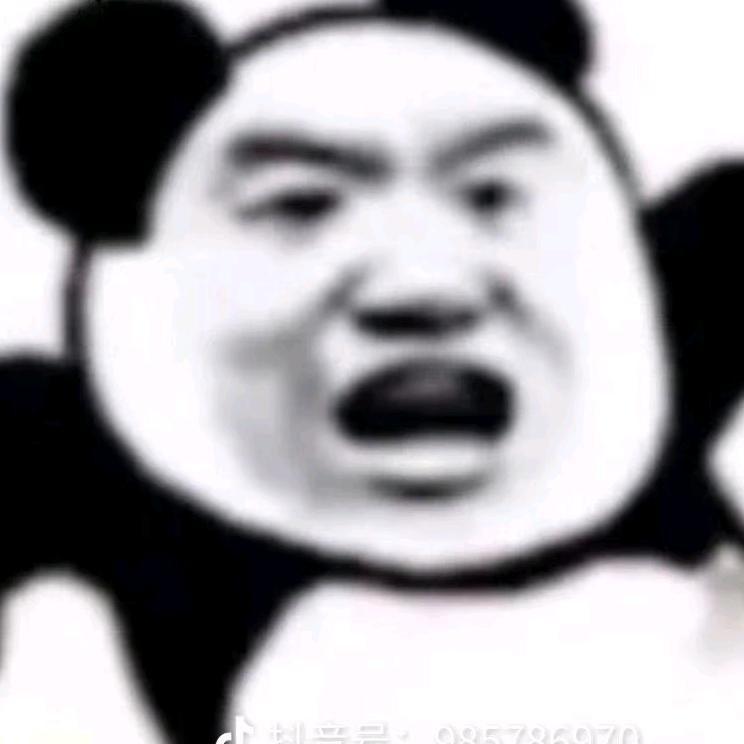 你问我我问谁