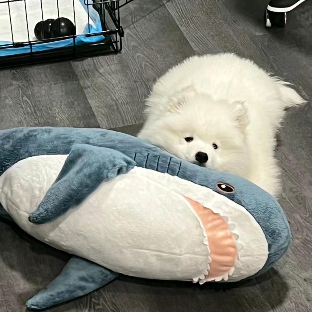 当辣妹