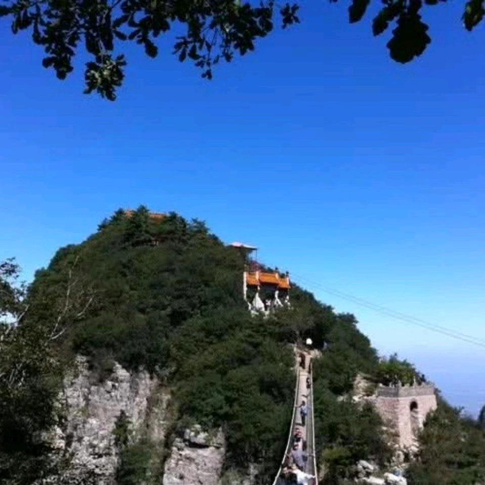 果心7--君梓铭荏