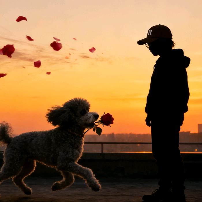 ✨🐣麋鹿᭄ꦿ໌ᮨ້࿐