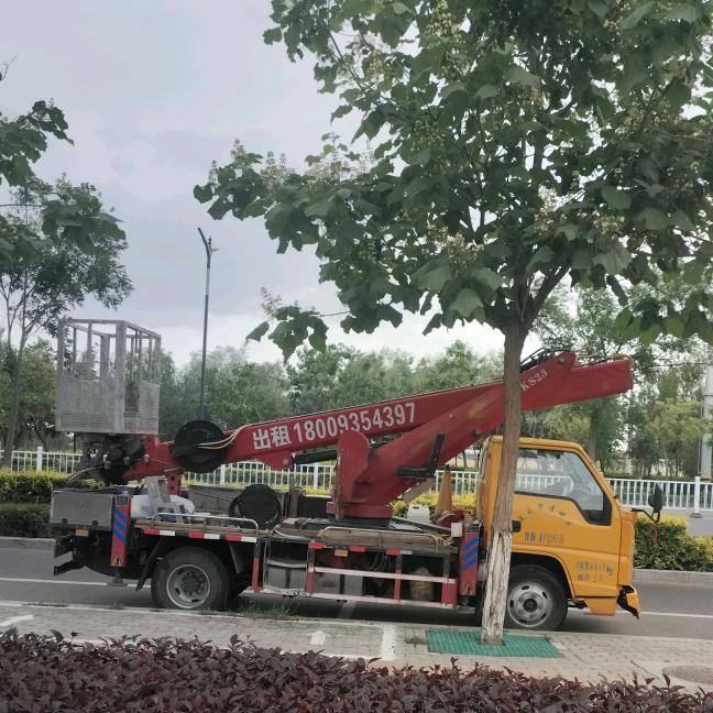 武威阳光高空作业升降车