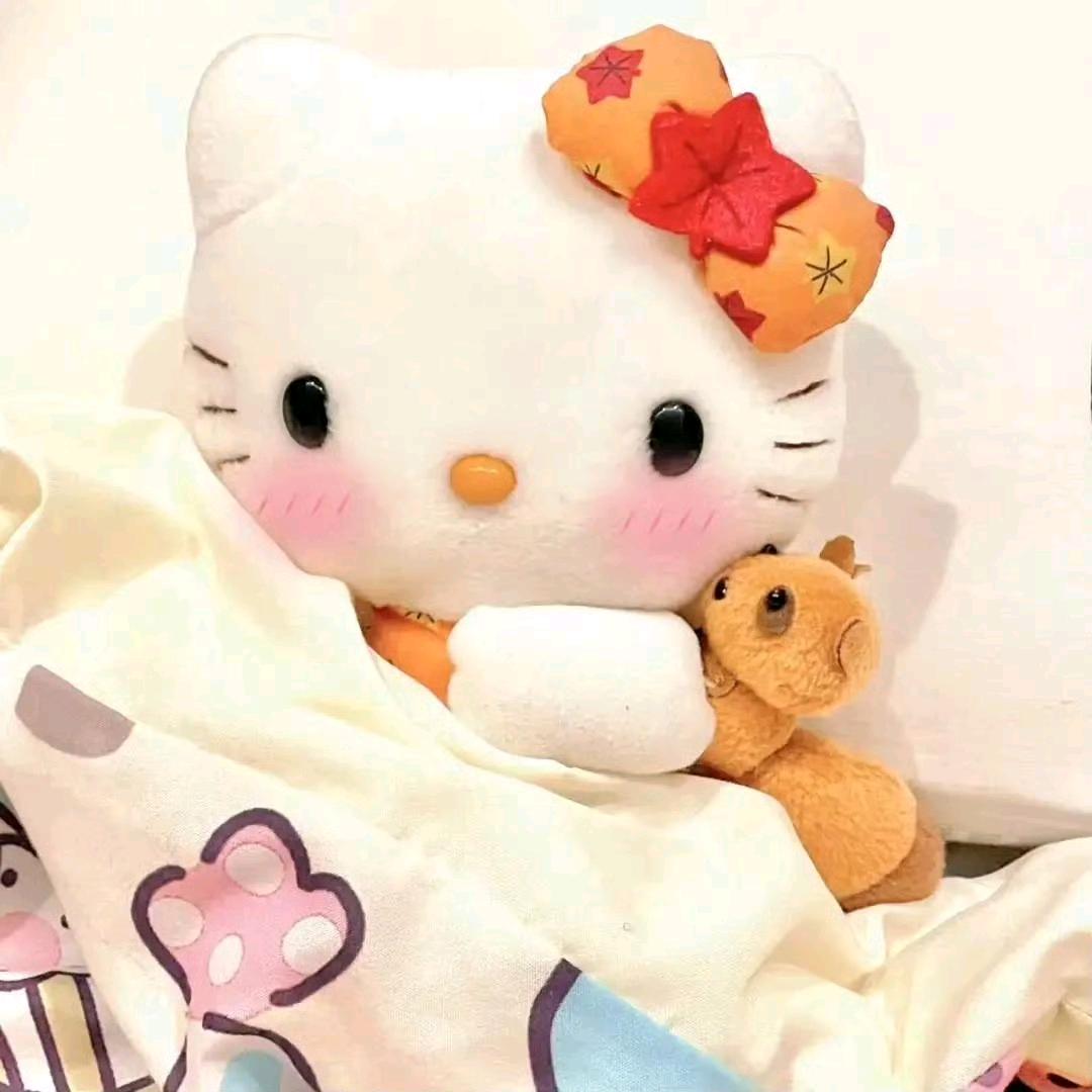 蜡小新的糖