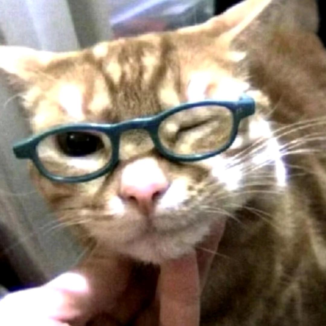是洋不是阳