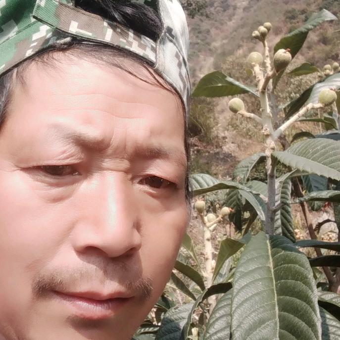 张永张永