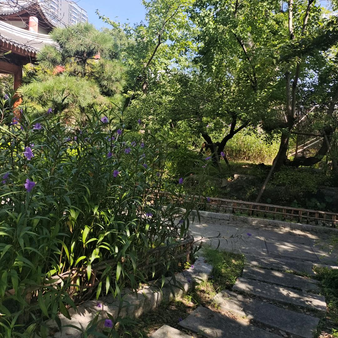 埋葬