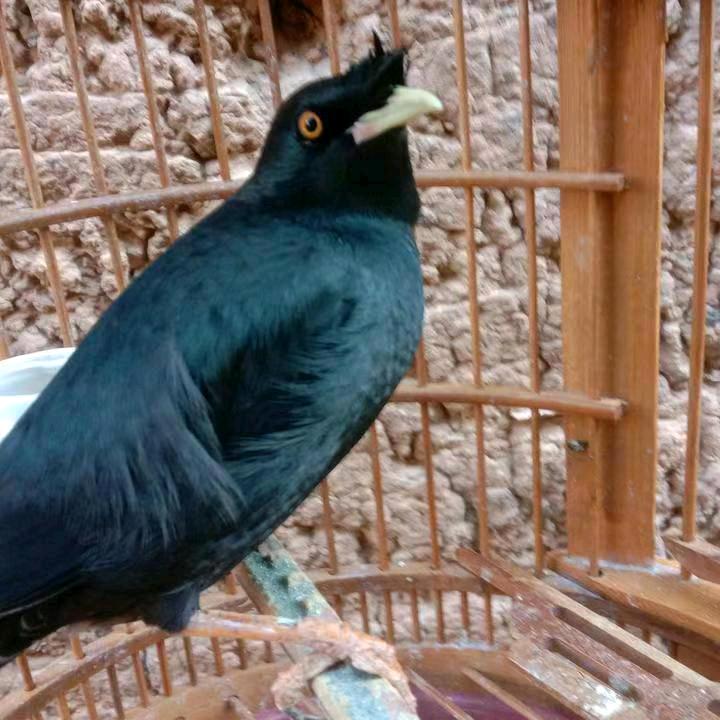 云南省玉溪市华宁县牛宇帆