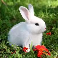心情❤特好