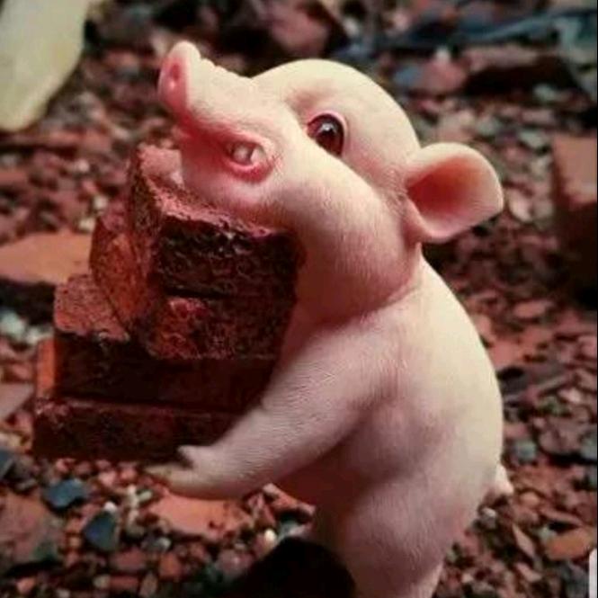 蘭了夏天亂了海