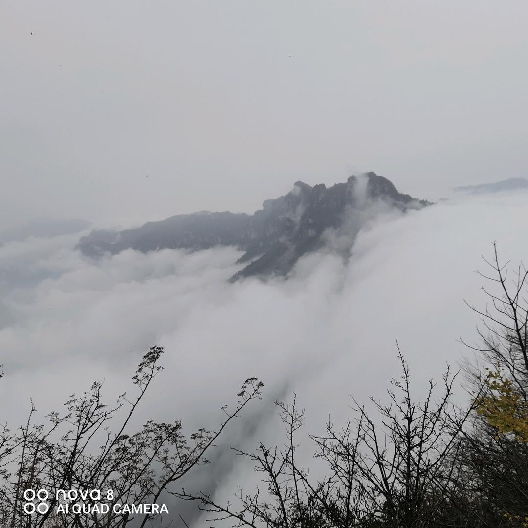 筱柒