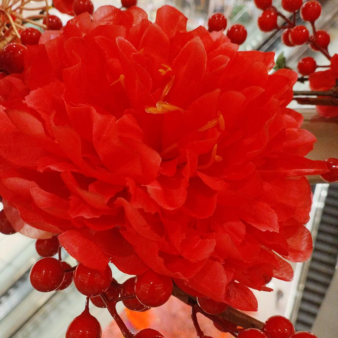 今年的秋天比已往更美