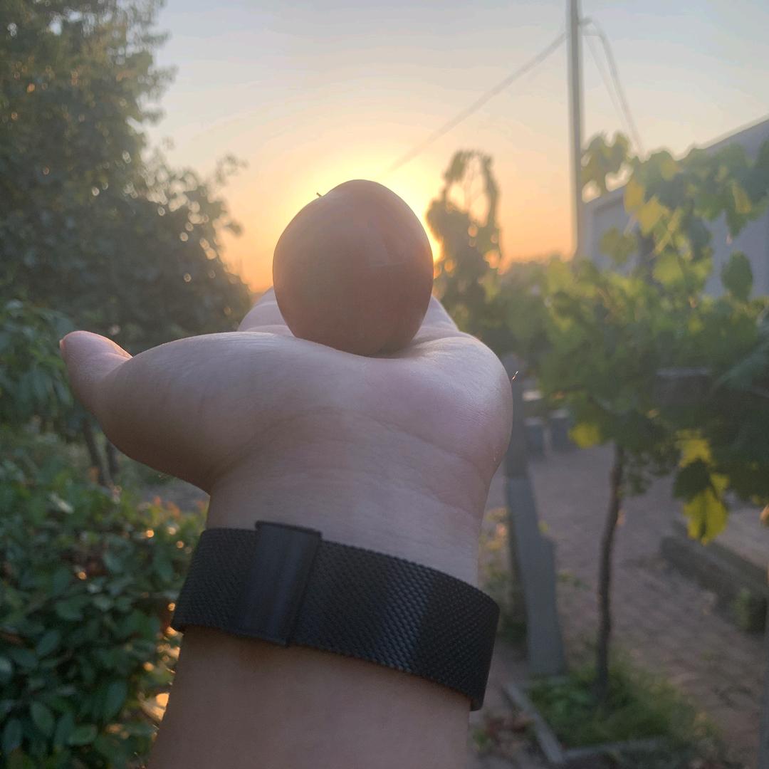 瓜果蔬菜产地直发