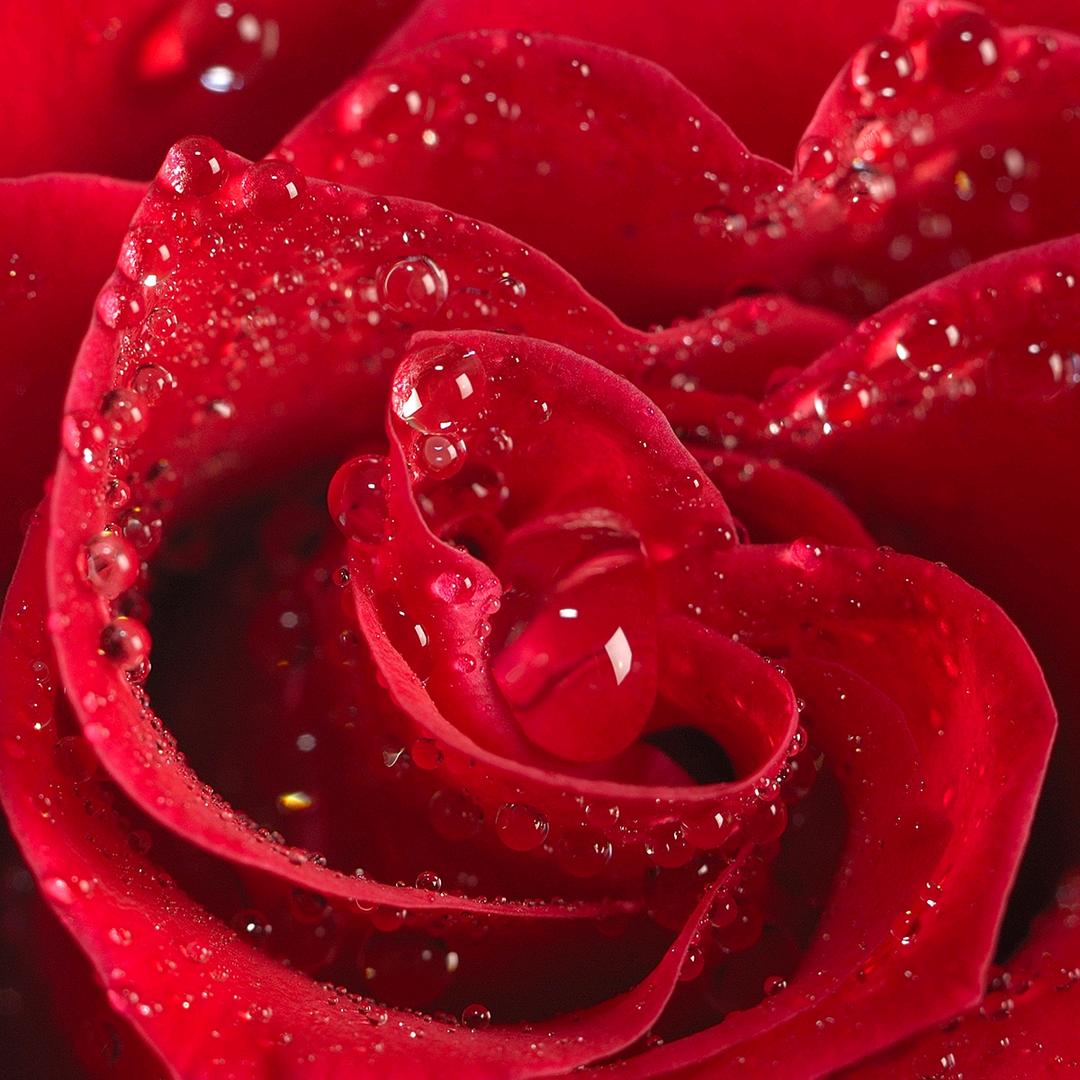 玉🌽米粒［周口装修✘批墙吊顶✘乳胶漆］