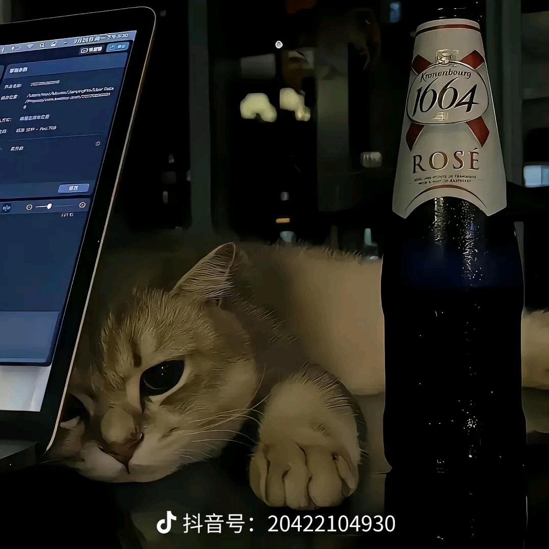 羽弈玄