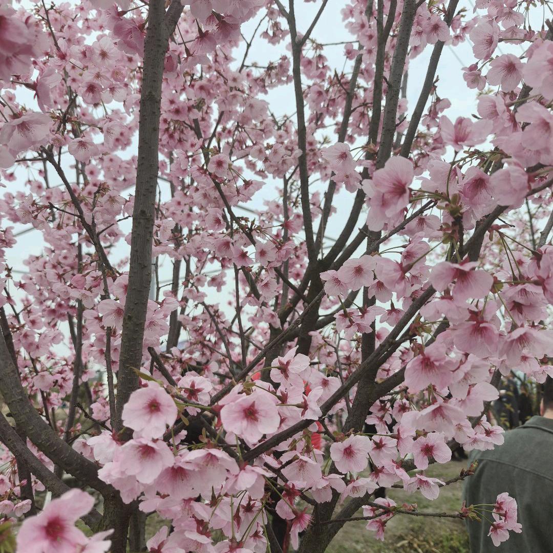 ૮ ºﻌºა快乐/随心ƪ(˘⌣˘)ʃ